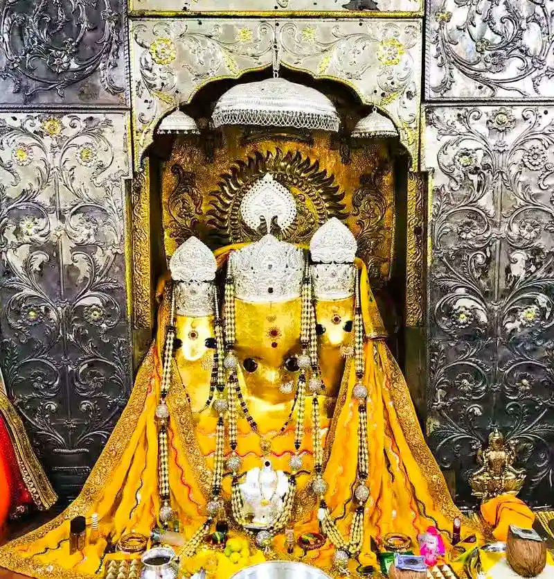 तनू चौधरी tweet media