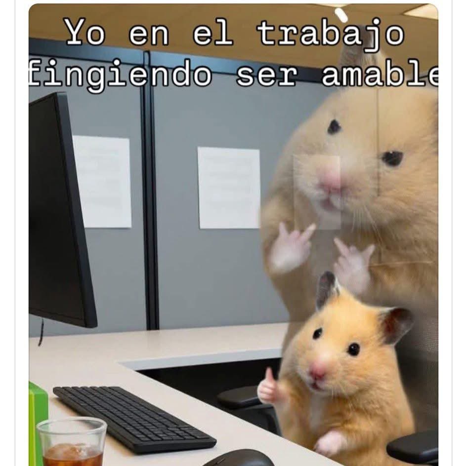 El Meme (@memessv7) on Twitter photo 