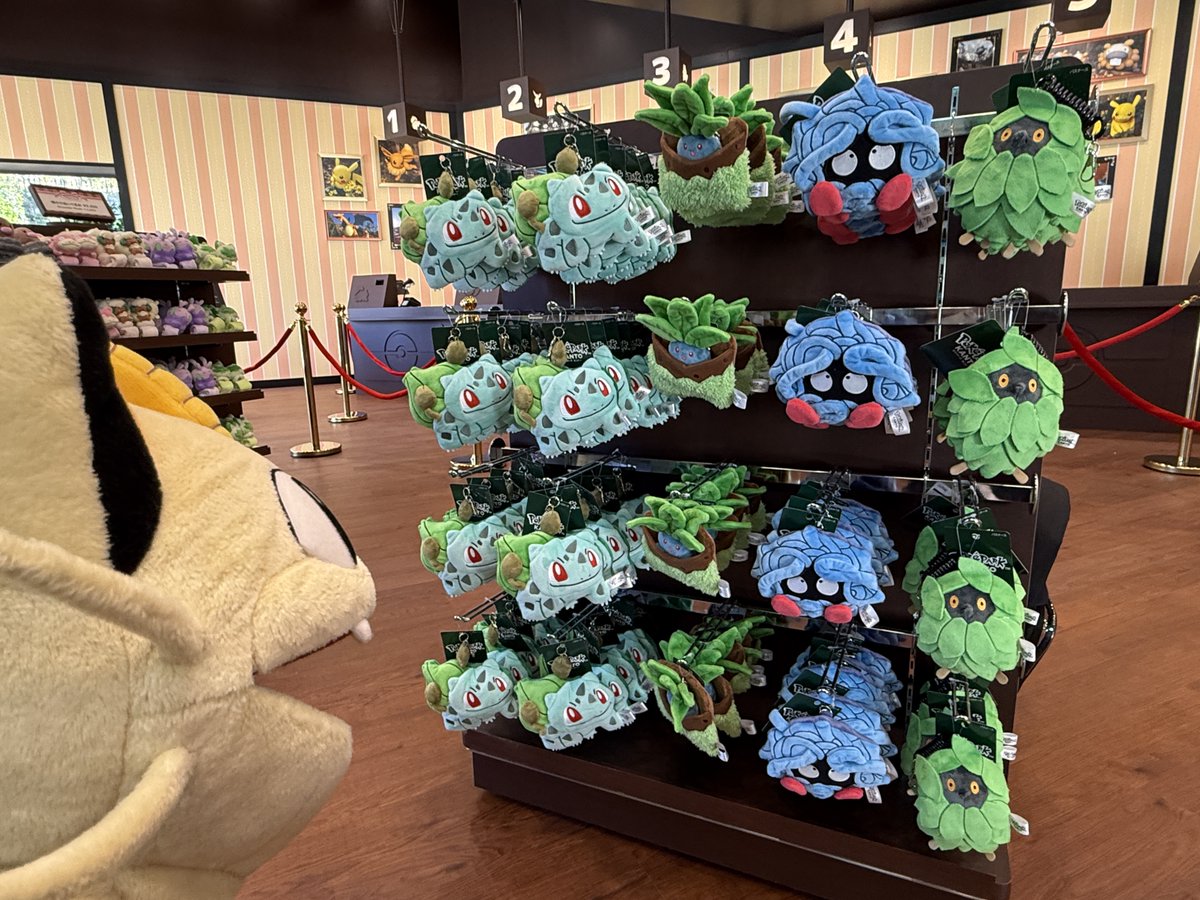 ﾌｼｷﾞﾀﾞﾈは言わずもがなほしいじゃん（？） ﾅｿﾞﾉｸｻのこれ可愛すぎない