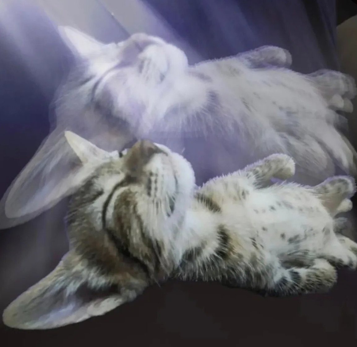 yo tuiteando y reflexionando al segundo