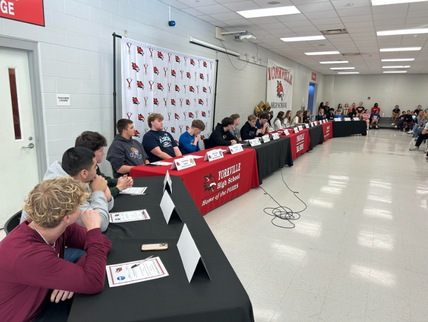 Yorkville Foxes tweet media