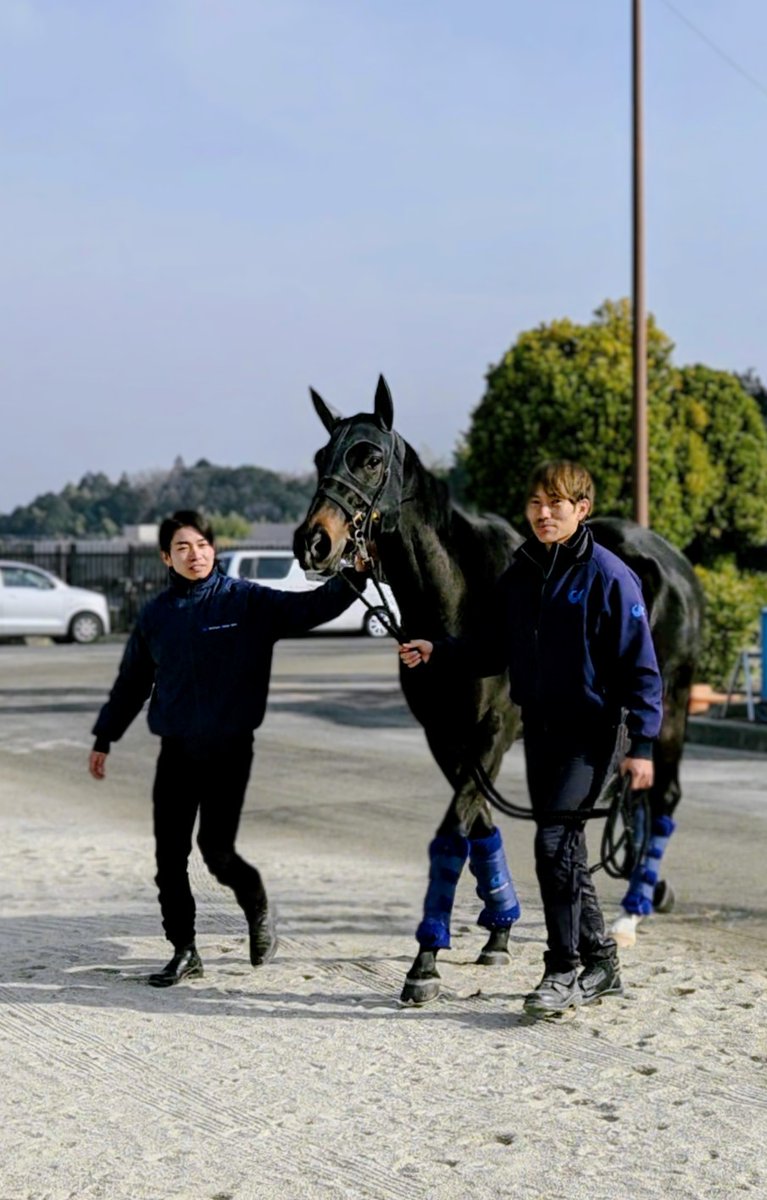 黒柳勝博 tweet media