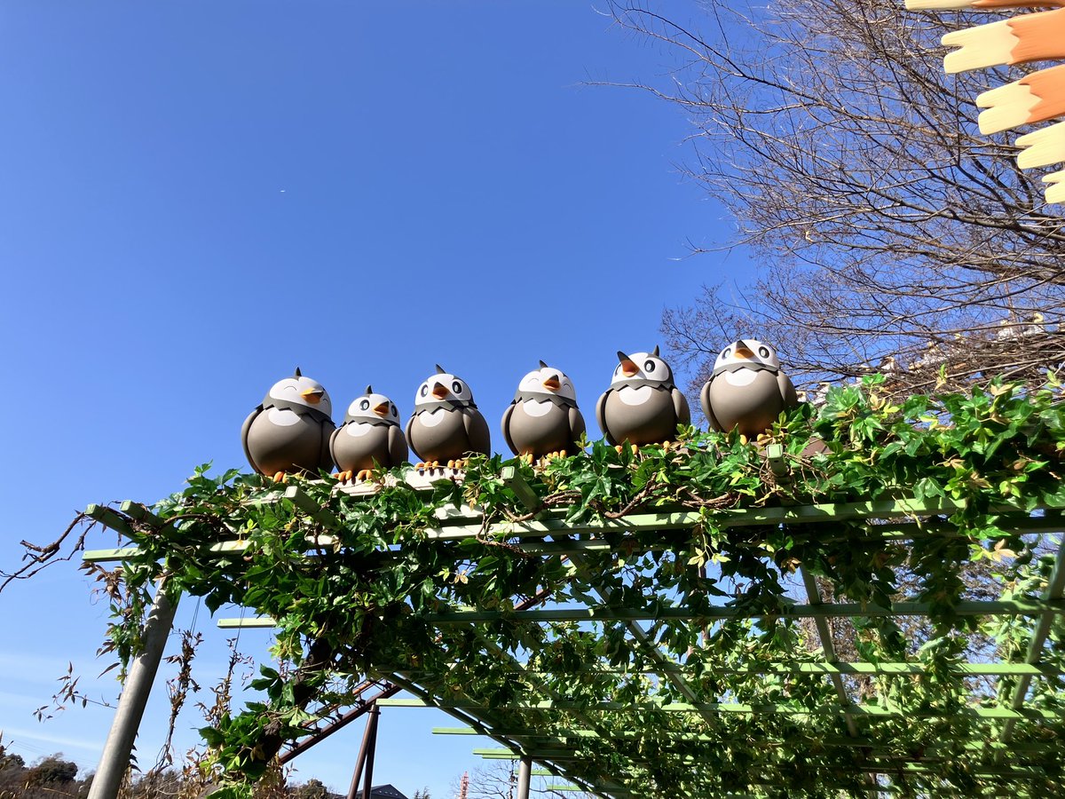 puko_wkst's tweet photo. これは推しのムックルちゃんたち https://t.co/aCjjGxCJhX