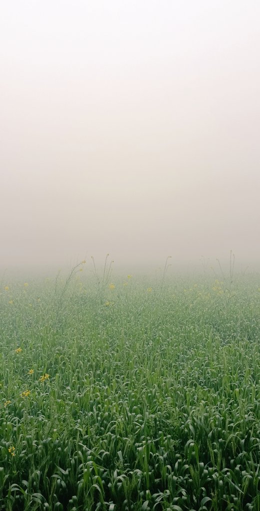 Good morning X friends 

Have a good day.