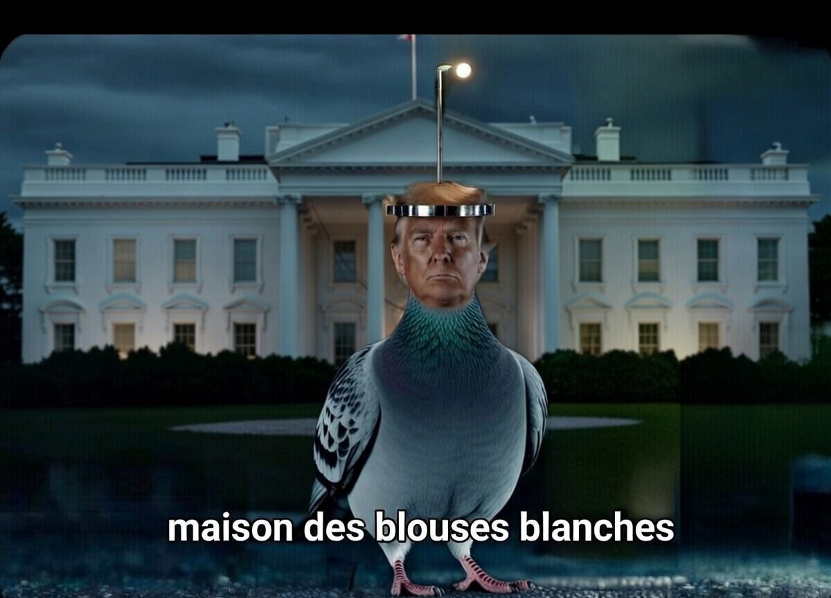 vovksamotniy's tweet photo. On comprend mieux maintenant d'où vient le problème entre Washington et Moscou 😂👇
#Russie #USA #Poutine #Trump #Maga #biodrone #biomaga https://t.co/gIqm5pq7Qf