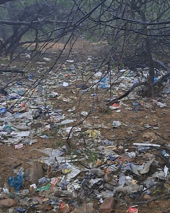 JUNGLE SENA tweet media