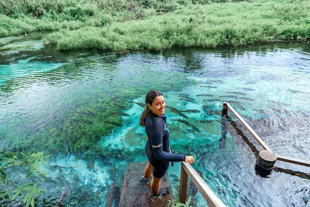 Left Rise tweet media