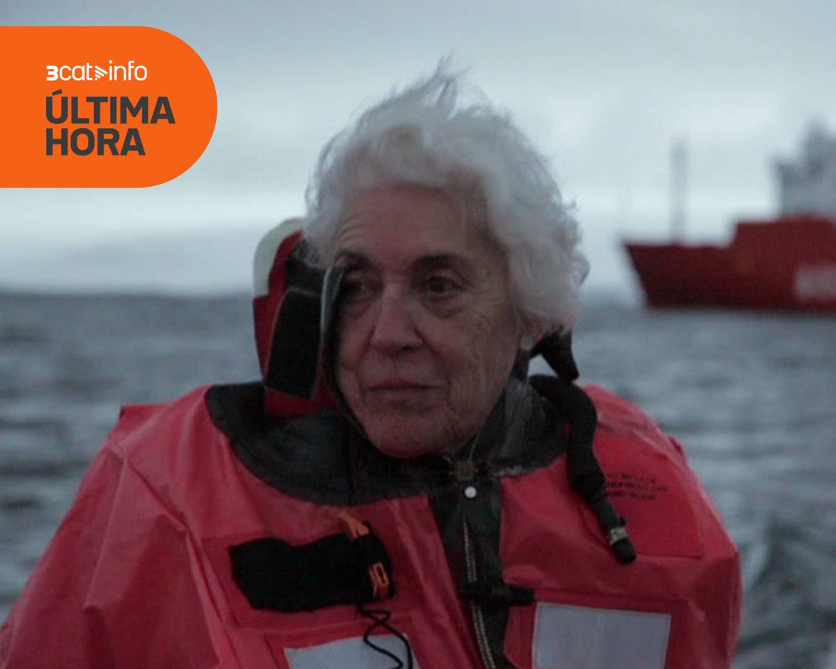 3CatInfo tweet media