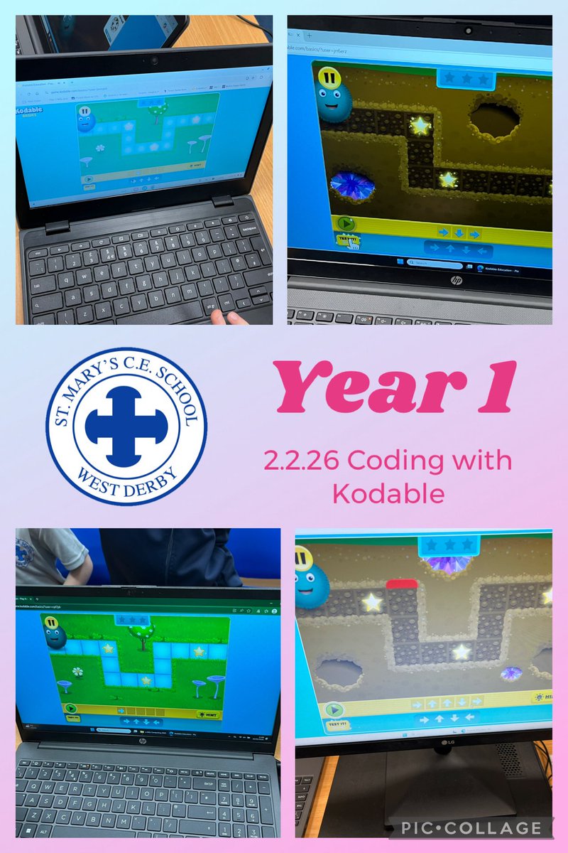 Melissa Shaw tweet media