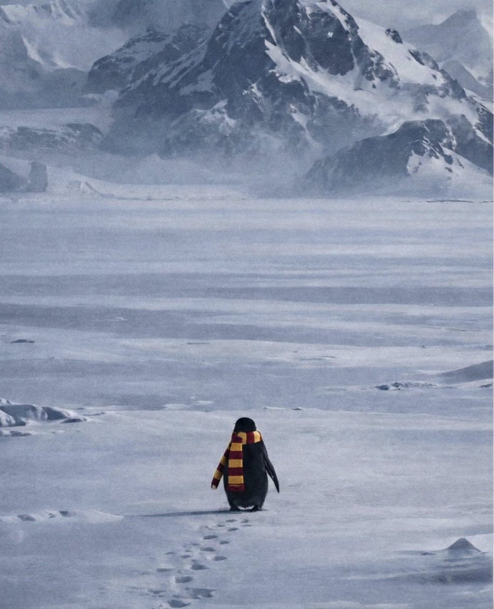 🚨Galatasaray , Transferde Frene Bastı !