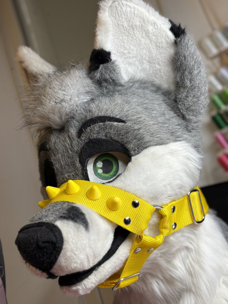 Muzzle with spikes 💛 for <a href="/NeoLIGHTfurry/">NeoLight🇫🇷🇬🇧🐺🌟</a> 

Collab with <a href="/HFursuitFabric/">HFF - HyroFursuitFabric</a> 

#3dprint #furryharness #handmade #fursuitharness #harness
