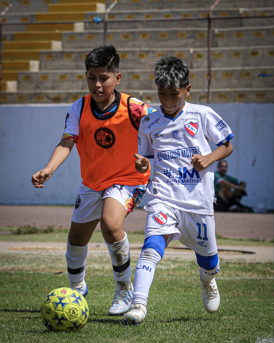 Federación Peruana de Fútbol tweet media