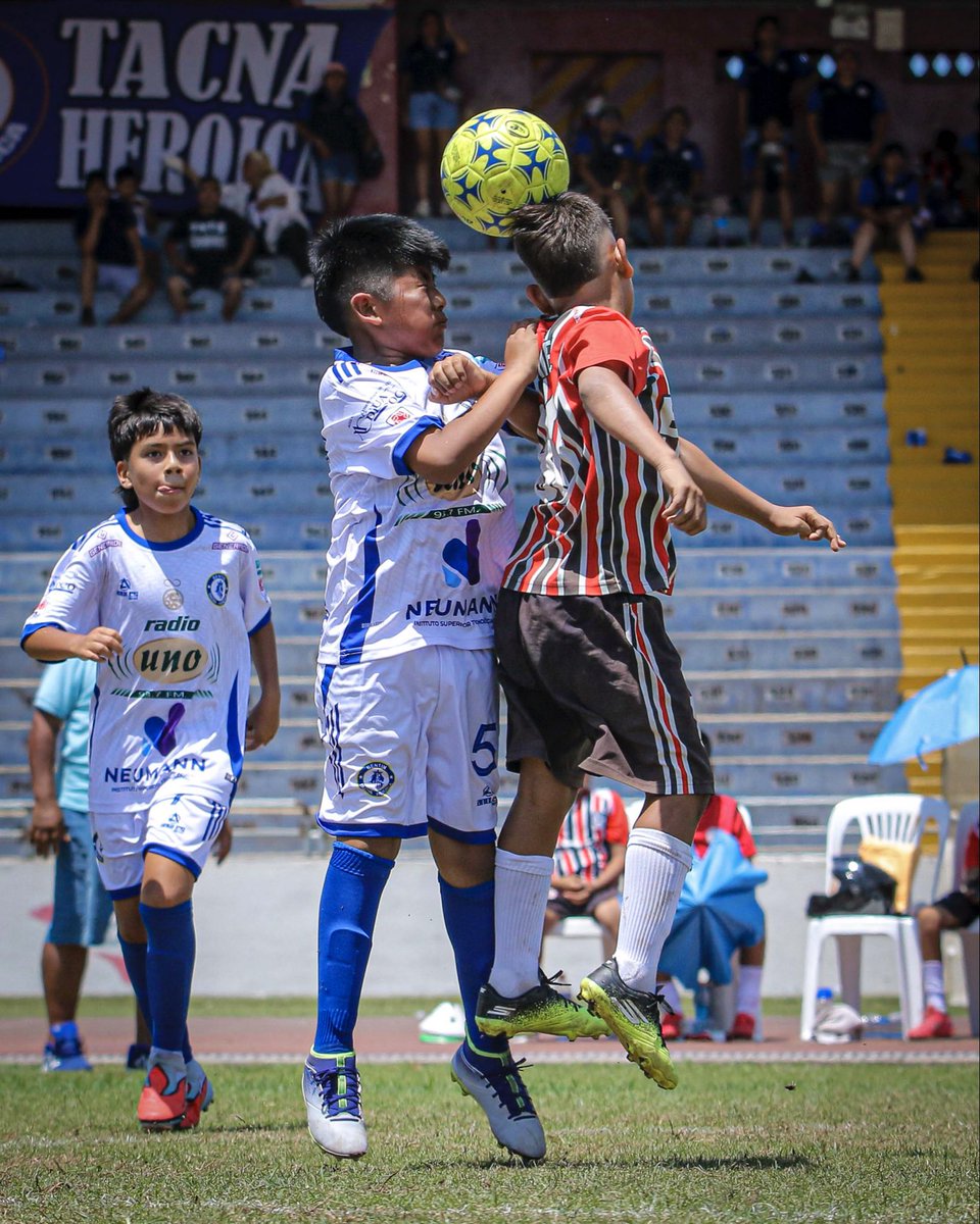 Federación Peruana de Fútbol tweet media