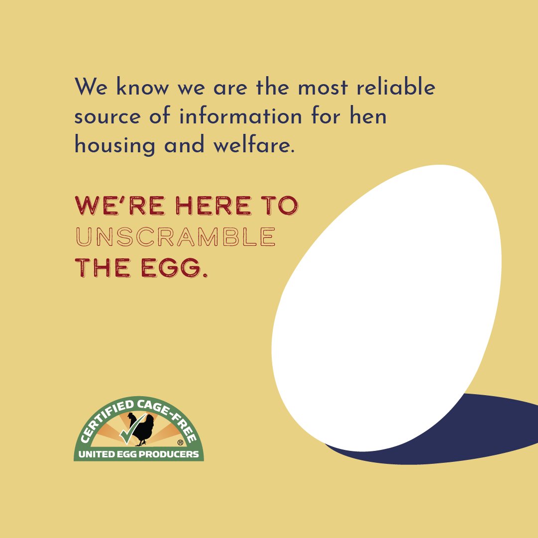 UEPCertified's tweet photo. Consumers want more certified options on menus and in grocery aisles — and our egg farmers are ready to deliver.

🥚Find a UEP Certified Cage-Free Producer➡️ https://t.co/1SetDvyMgE

#UEPCertified https://t.co/0guTn8XSah