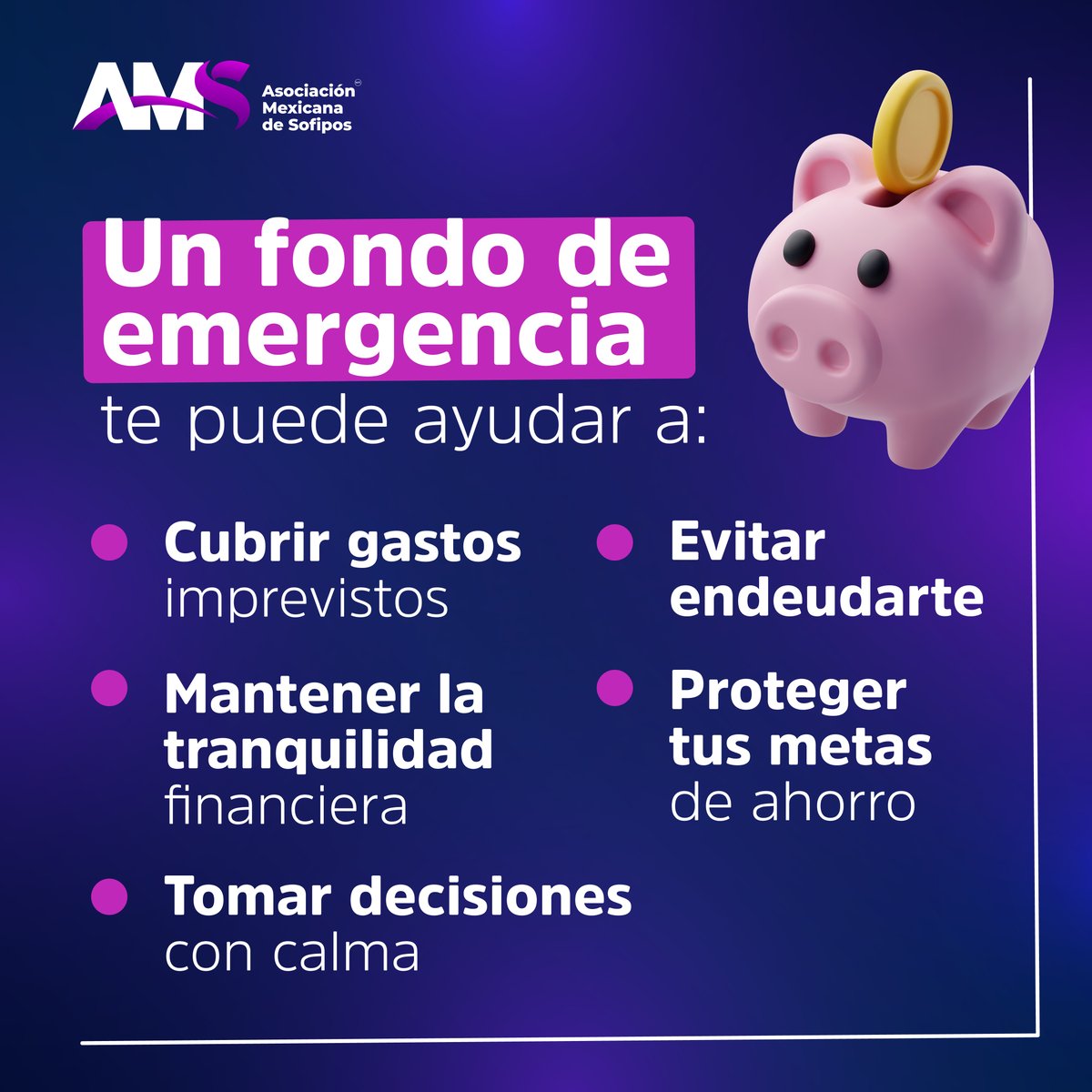 Amsofipo tweet media