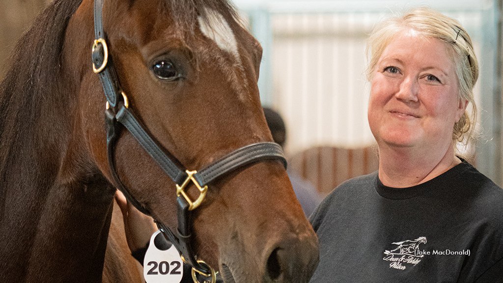 London Classic Yearling Sale tweet media