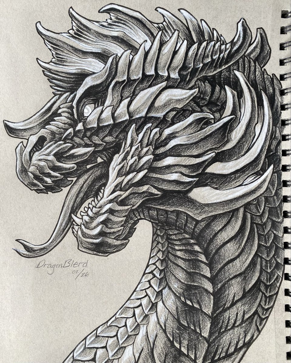 Dragon Drawing