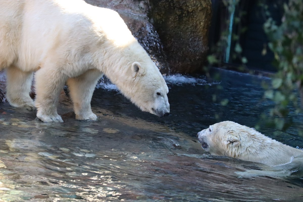 遊ぶライ君を見守るイッチャン