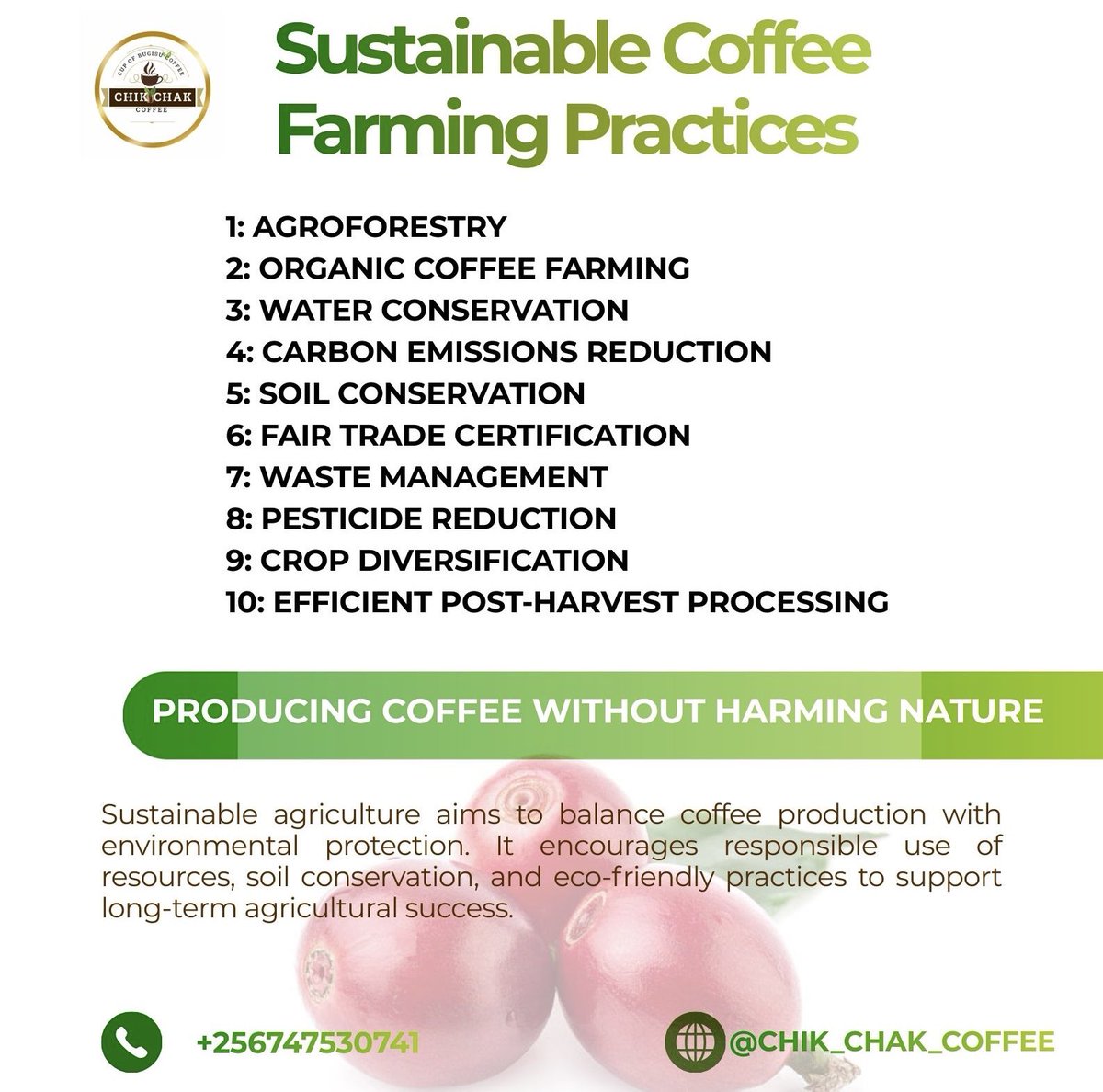 AgroExpertUg's tweet photo. What practices do you think are missing? 
Let’s share ideas and learn together.

#SustainableCoffee #CoffeeFarming #FarmerTraining #ClimateSmartAgriculture https://t.co/lsyh0DDVLf