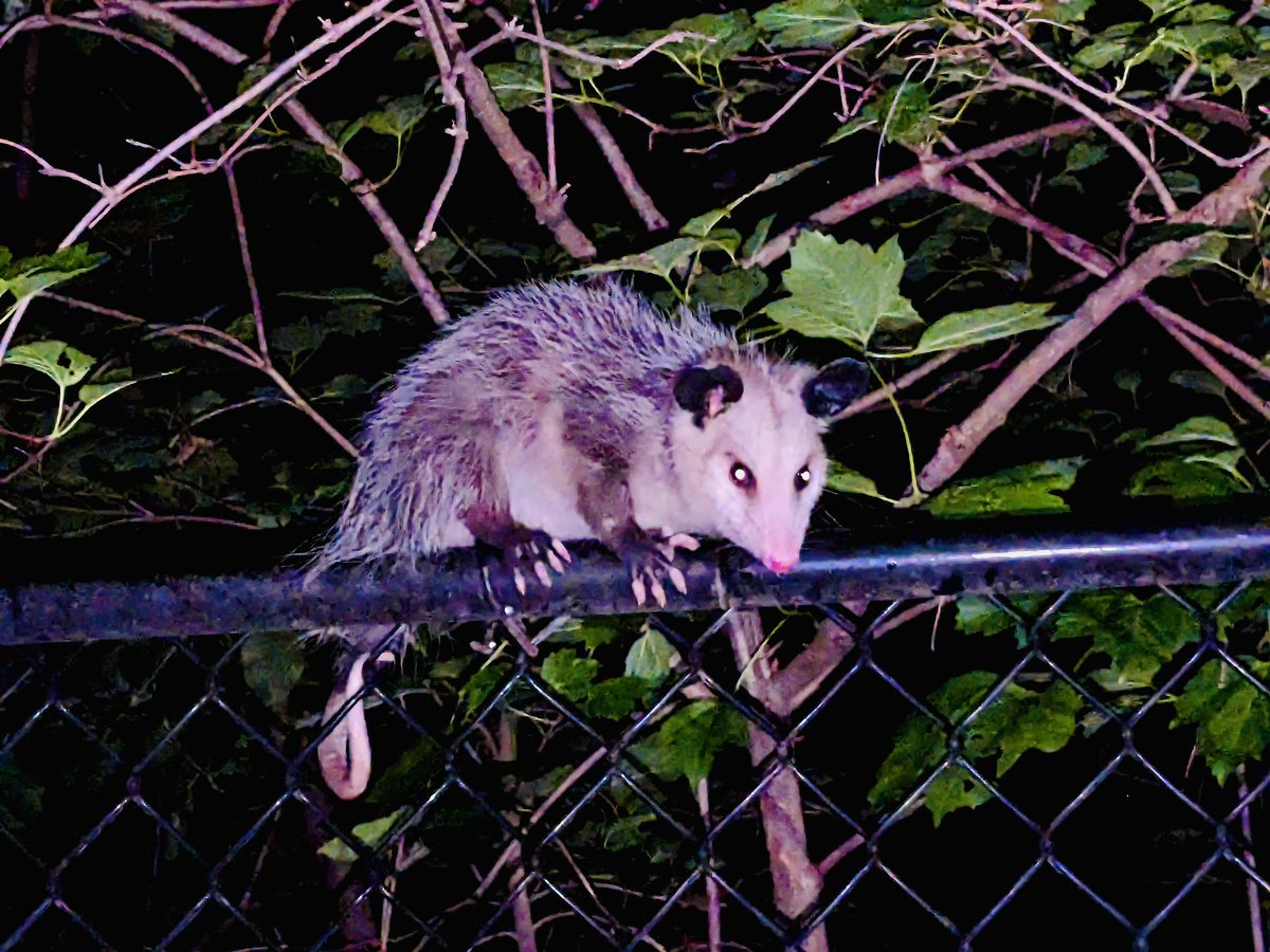 Aaron Gwyn tweet media