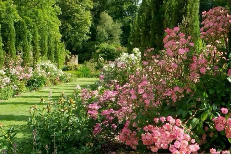 elyradream's tweet image. gardens surrounded by flowers