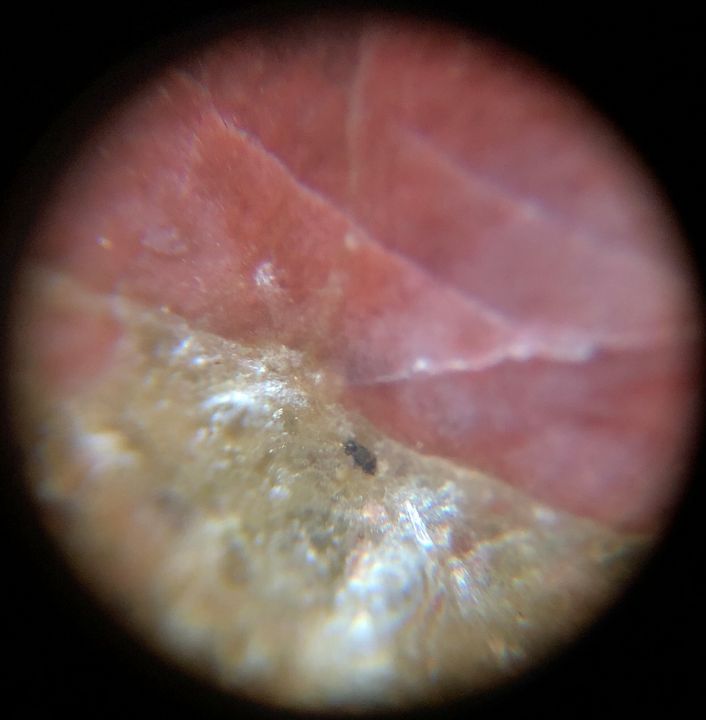 AmadisDist's tweet photo. Art of the Day! "Microscopic Green Jasper II". Buy at: https://t.co/FHaADA2kmp https://t.co/tUs9Pq6d4L