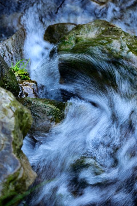 Playfreshional's tweet photo. Art of the Day! "ʻUhane of ke Kahakai: river spirit". Buy at: https://t.co/3B4bfLxSOy https://t.co/7293D6A3qk