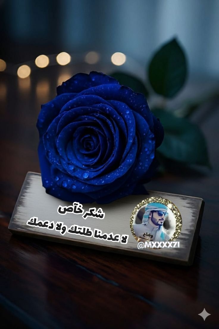 ✨ 𝓐𝓵𝔃𝓪𝓲𝓷 ❥⇣ tweet media