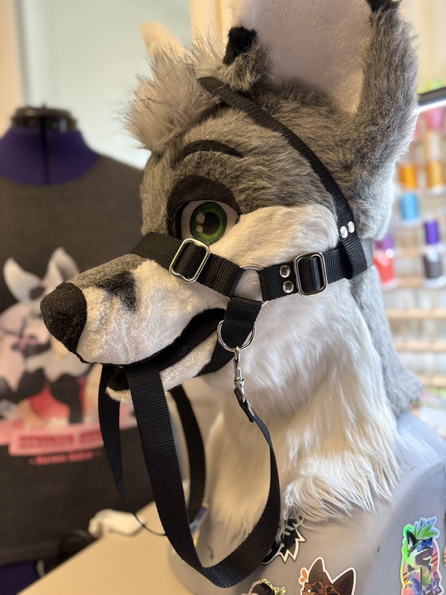 FOR SALE !! Pony halter 🩷💙🩵🩶✨
50€ shipping not included.

#ponyplay #furryharness #handmade #fursuitharness #harness