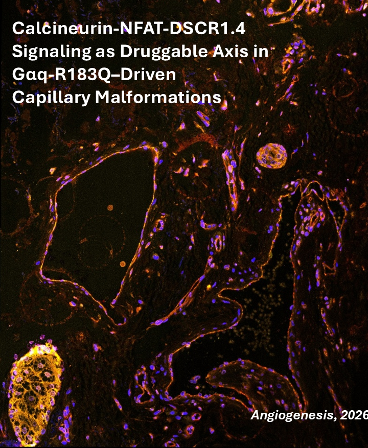 Huveneers Lab tweet media