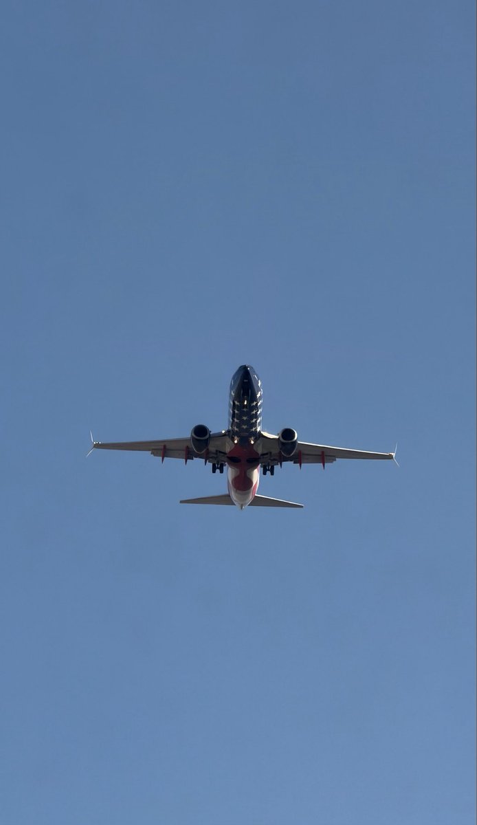 DAL Plane Spotting tweet media