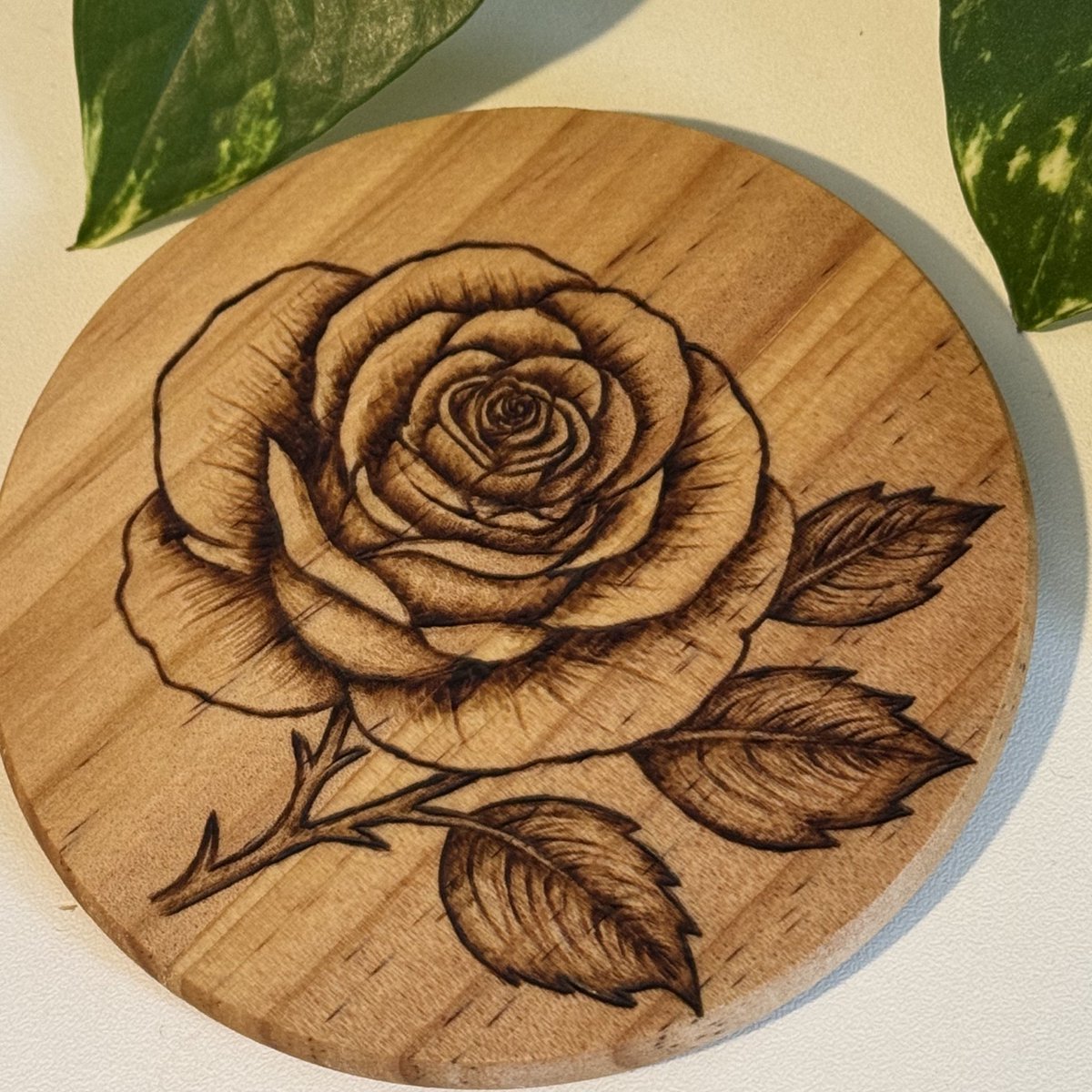 Cheyenne tweet media