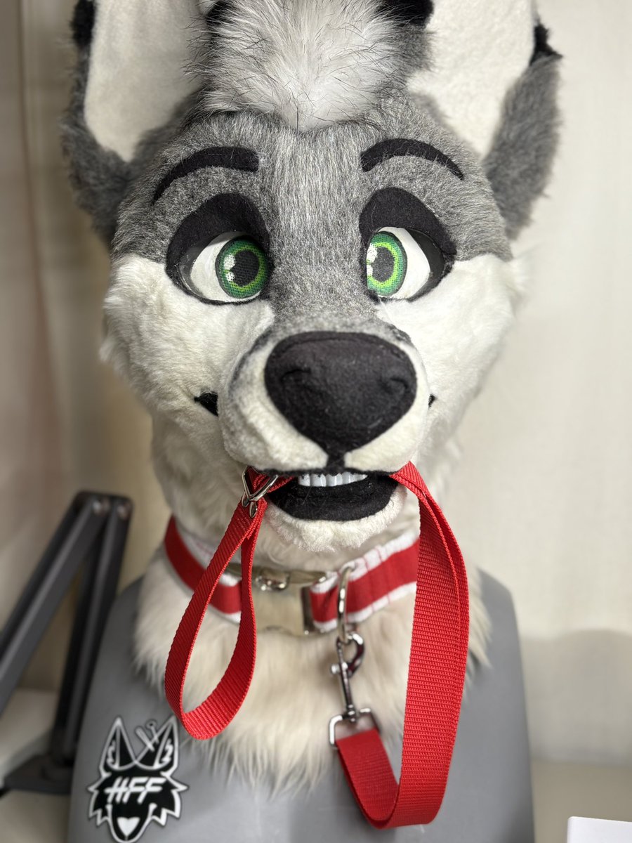 KitsukoFR tweet media