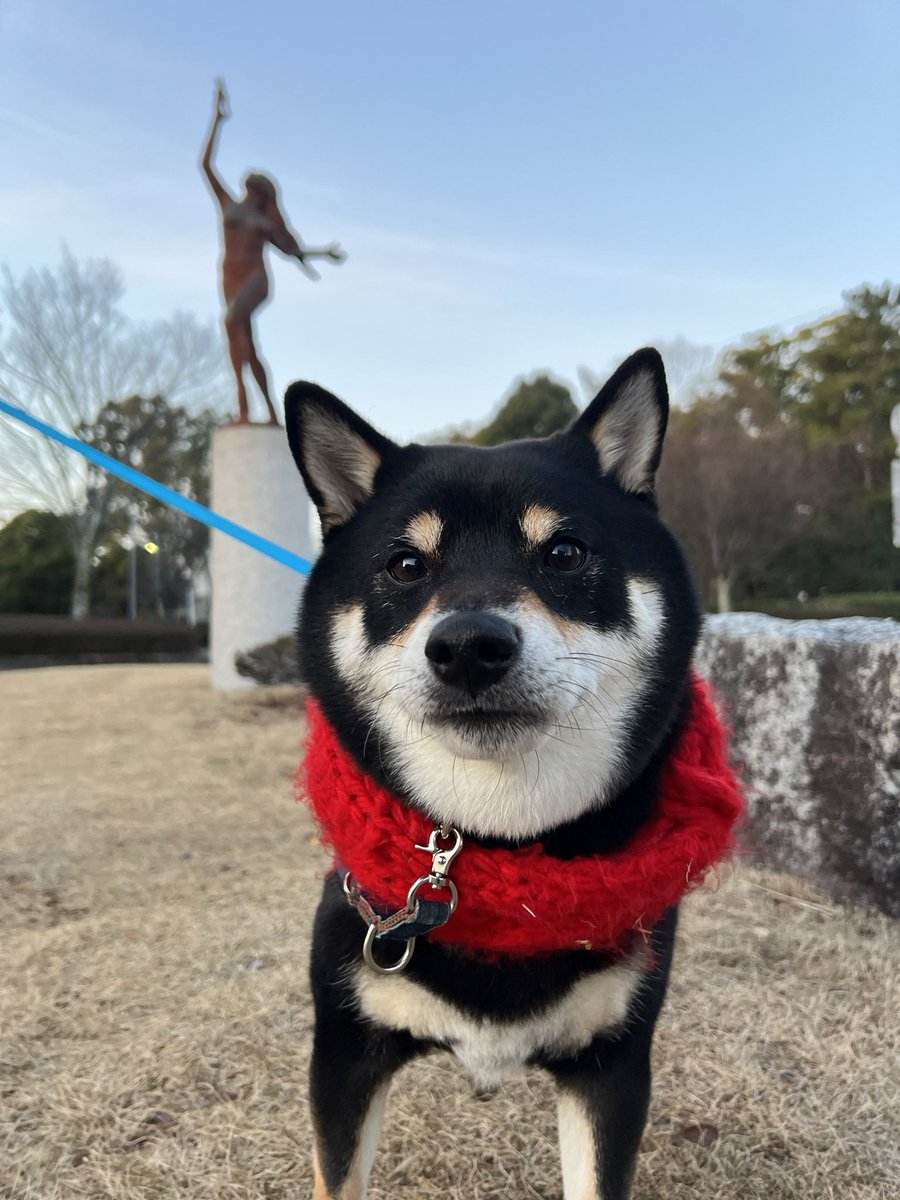 おはようございます☀