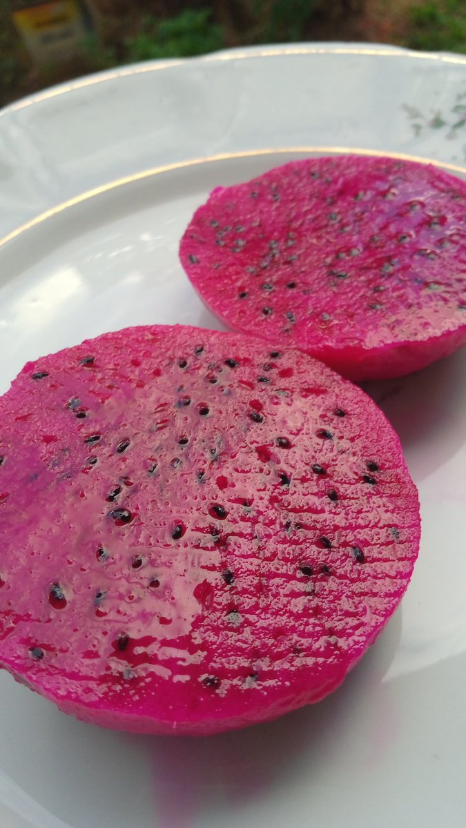 Lanchinho da tarde. 
Produção própria🪷