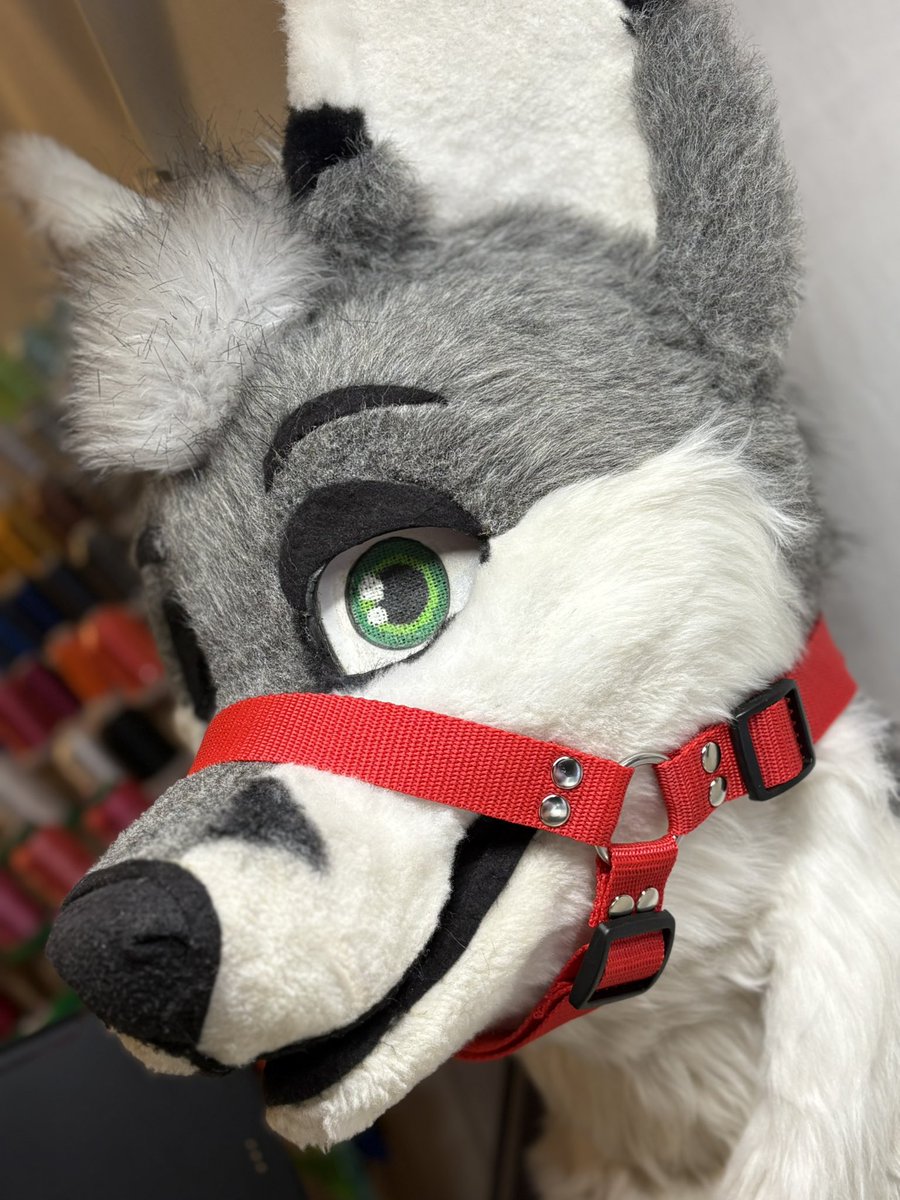 KitsukoFR tweet media