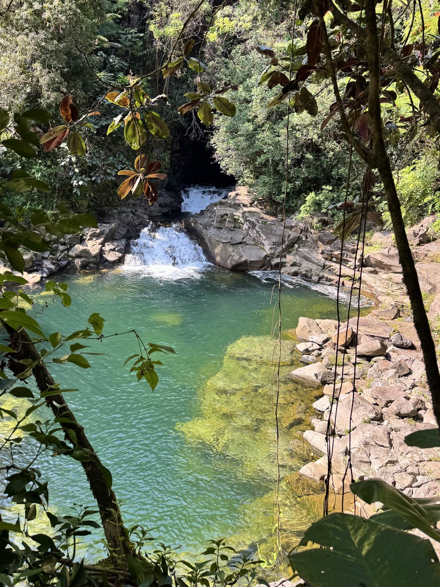 Jaylene🐰 tweet media