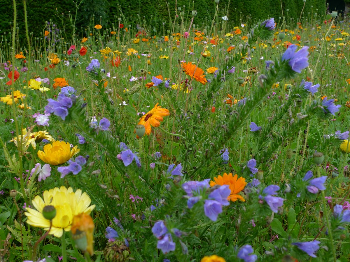 The Cycling Scot tweet media