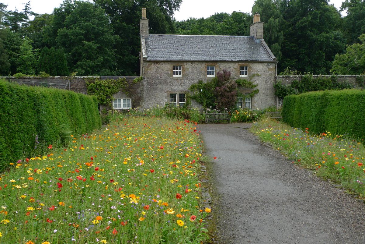 The Cycling Scot tweet media