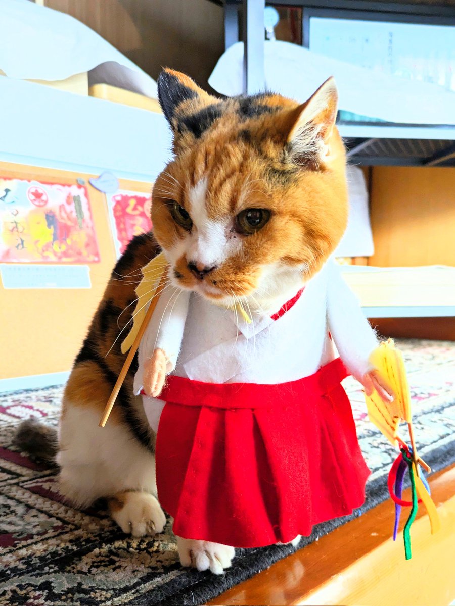 ねこの玉手箱 猫魂P 玉田神社 さん(京都府久世郡久御山) 玉田神社さんの看板猫の巫女猫の