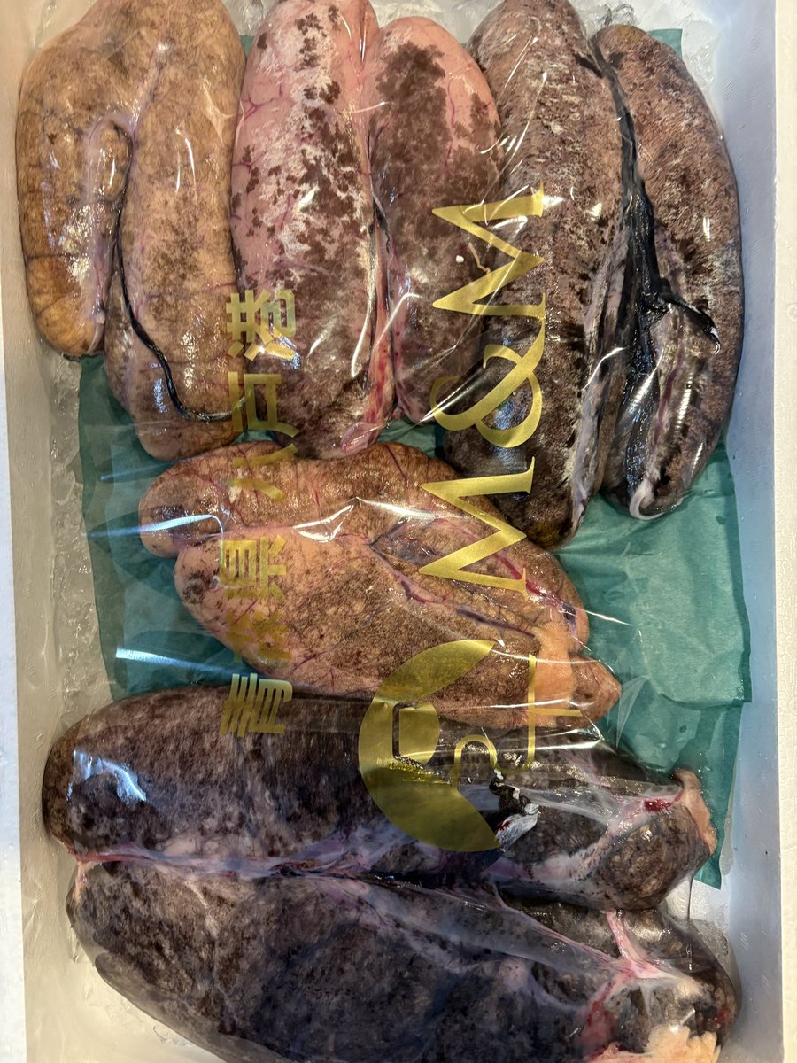 モナピー (@q4z9DlTT5BRSpaH) / Posts and Replies / X