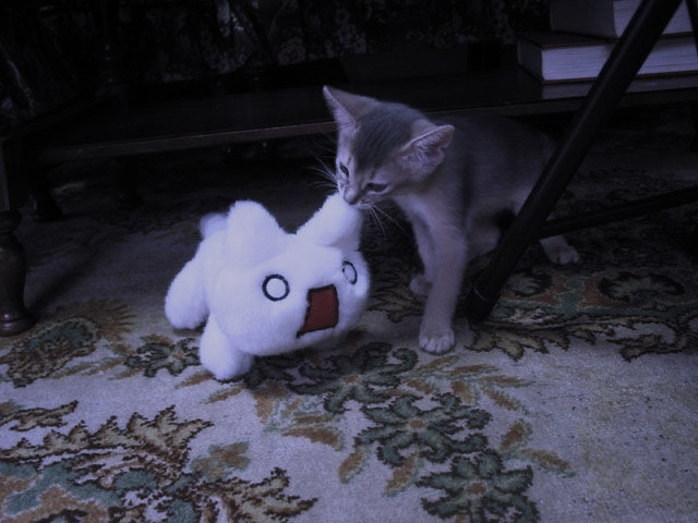 ✞ 🗝️ (@hakaelll) on Twitter photo 