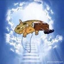 stsguts's tweet image. hoje quem me trouxe de uber foi uma mulher e de byd as duas coisas que mais amo pqp voltei assim pra casa