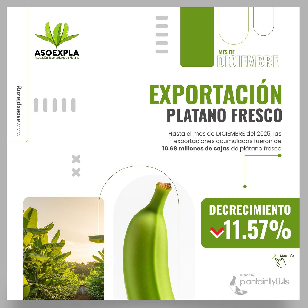 ASOEXPLA - Asociación Exportadores de Plátano tweet media