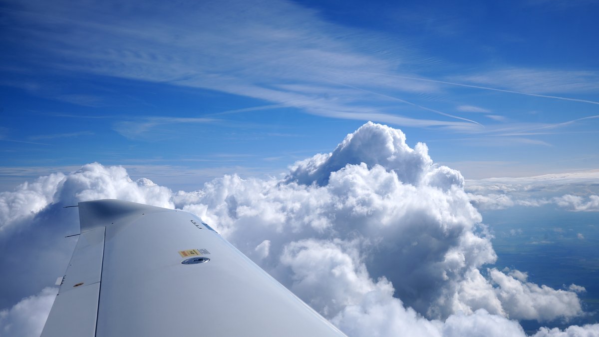 Robbie ✈ tweet media