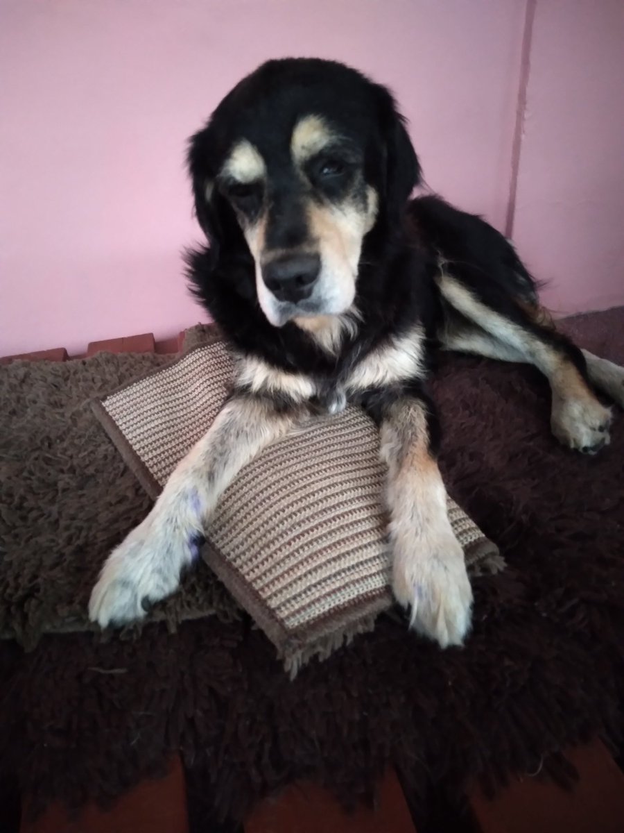 𝑪𝒂𝒓𝒐𝒍𝒊𝒏𝒂✿⊱╮ tweet media