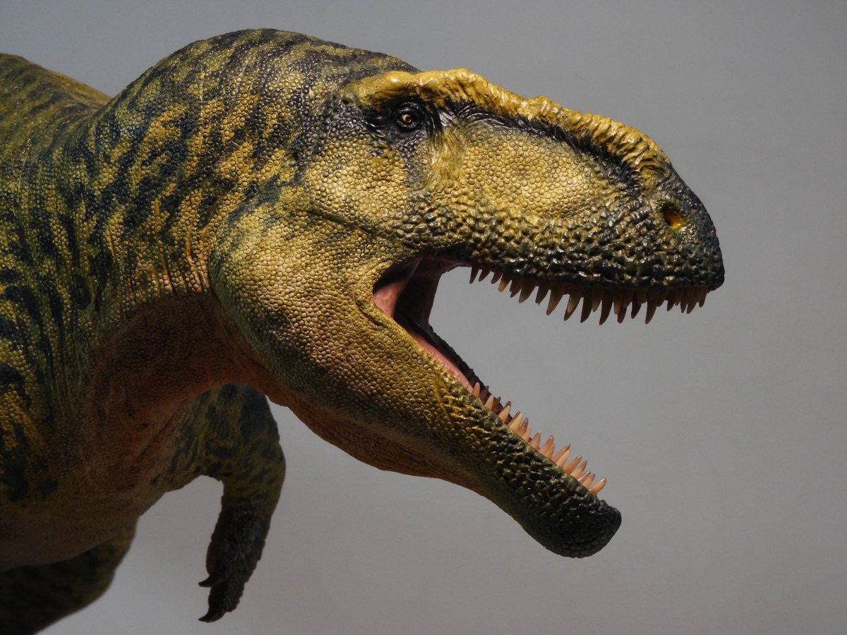 #Tyrannotitanchubutensis - 1/18 scale sculpture. Commissioned. The biggest, most detailed and more intricately painted scaled Carcharodontosaur I've ever made #handmade #handpainted #dinosaur #cretaceous #patagonia