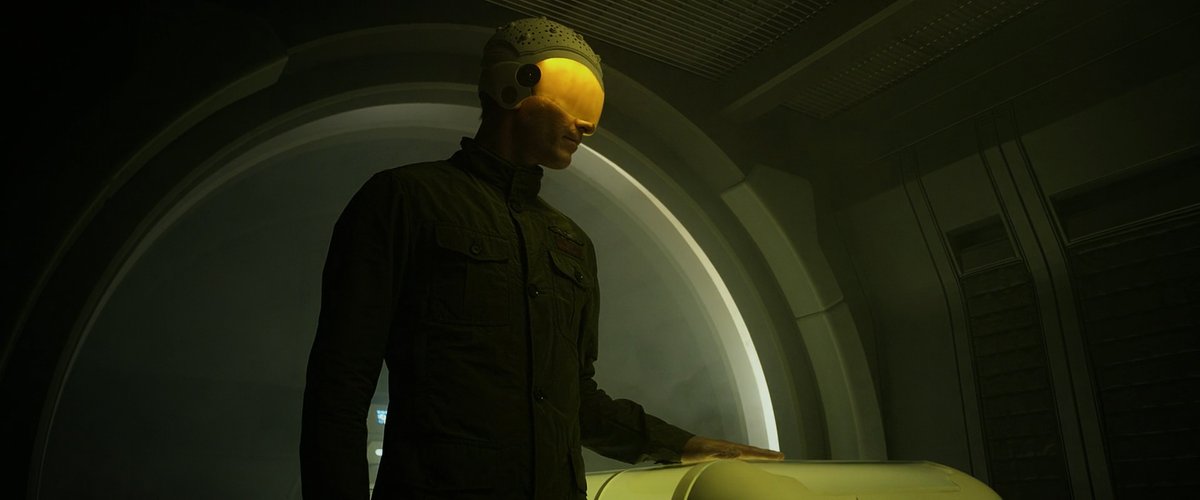 𝚋𝚛𝚘𝚠𝚜𝚎 𝚑𝚘𝚛𝚛𝚘𝚛🦇 tweet media