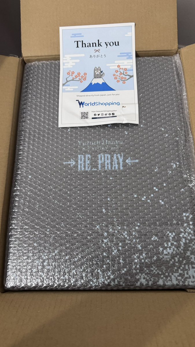 きたー！✨ My RE_PRAY box finally arrived in 🇧🇷! I left a kidney
