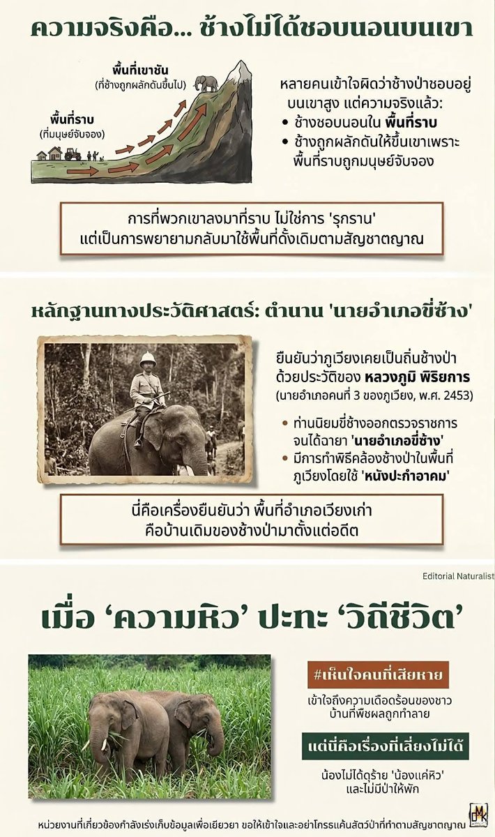 1/2 เก็บไว้ในความทรงจำ
ความน่ารักของพี่หูพับกับน้องงาจิ๋ว

#สีดอหูพับ
#พลายงาจิ๋ว
#ช้างป่า 

Cr. ภาพ เพจลุงเกรียง หมีแบกกล้อง

#RIP #สีดอพับ
#SidorHoopub
#Wild #Elephant